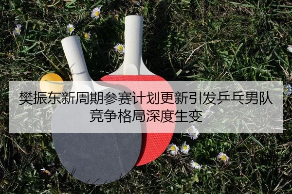 樊振东新周期参赛计划更新引发乒乓男队竞争格局深度生变